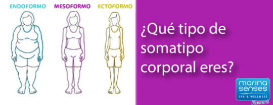 Imagen ¿Qué tipo de Somatotipo eres?